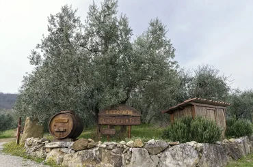 Azienda Agricola Il Vecchio Piantone by Vitali Sergio